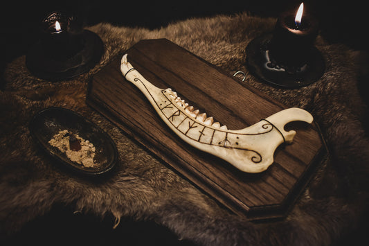 Grímnir Rune Jaw Bone Wall Hanging - Dark Altar Collection